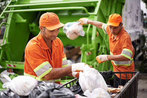 Best Shed Removal  in USA